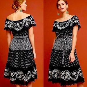 Anthropologie Embroidered Dress 12